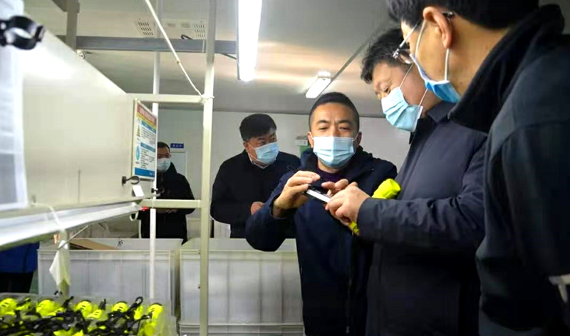 龙口市领导到东方电子旗下东立公司考察指导工作